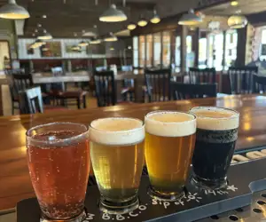beer flight